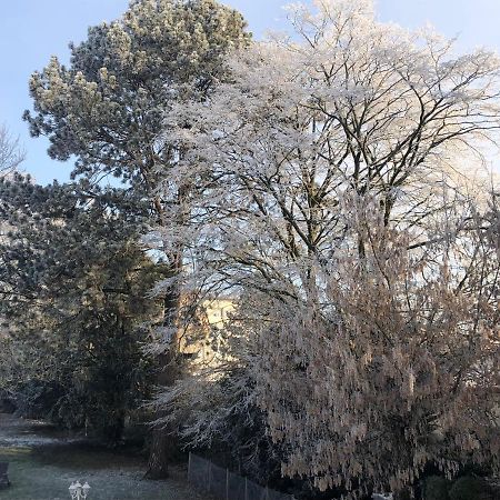 Le Jardin De Fresnes Bed and Breakfast Exterior foto
